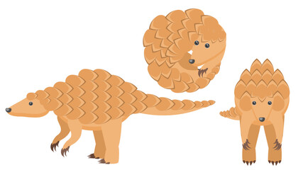 Set Abstract Collection Flat Cartoon Different Animal Pangolins Stand, Curled Up In A Ball Vector Design Elements Fauna Wildlife