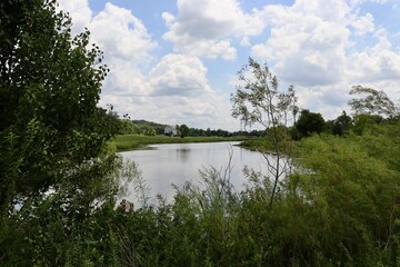 Obraz premium The lake in the peaceful countryside on a sunny day.