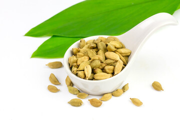 Green Cardamom on white bowl with green leaf and seed isolated on white background. Cardamom is a fragrant herb used as an ingredient for cooking. 