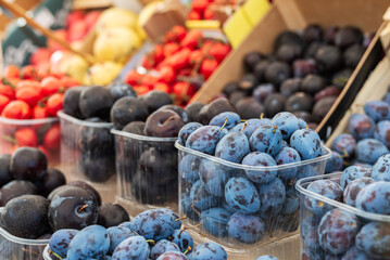 Fruit plum at street food market in Padova Italy - obrazy, fototapety, plakaty