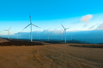 Windmills at wind farm, Coquimbo Region, Chile