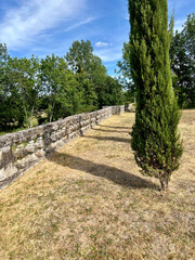 stone path in the park