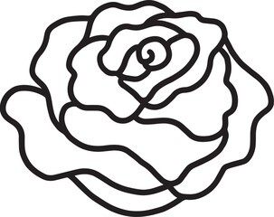 rose flower line drawing