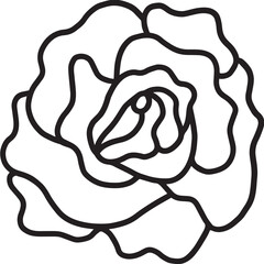 rose flower line drawing