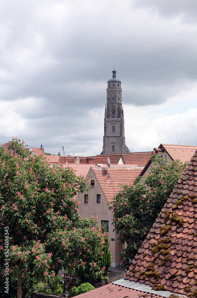 Canvas Prints daniel in noerdlingen