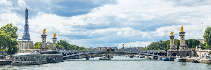 Pont Alexandre III-brug, de Eiffeltoren en de rivier de Seine in Parijs, Frankrijk