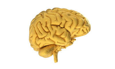 3d rendered medically accurate illustration