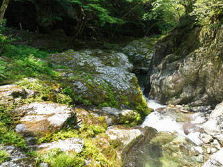 愛媛県砥部町　仙波渓谷の風景