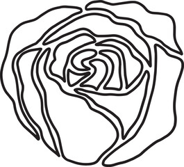 rose flower line drawing