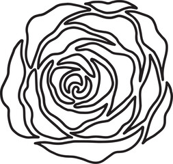 rose flower line drawing