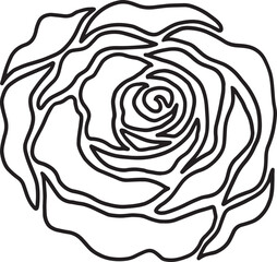 rose flower line drawing