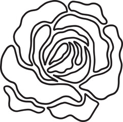 rose flower line drawing