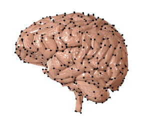 3d rendered medically accurate illustration