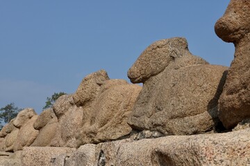 Bull sculpture in the complex of ancient shore temple in Mahabalipuram, Tamilnadu, India. Sacred bull statue against blue sky background.
