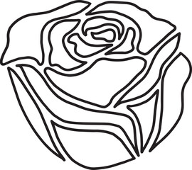 rose flower line drawing