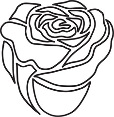 rose flower line drawing