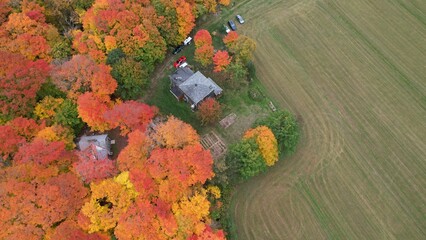 Top view of the forest with all the colors of autumn, farmhouses and agricultural rural landscape