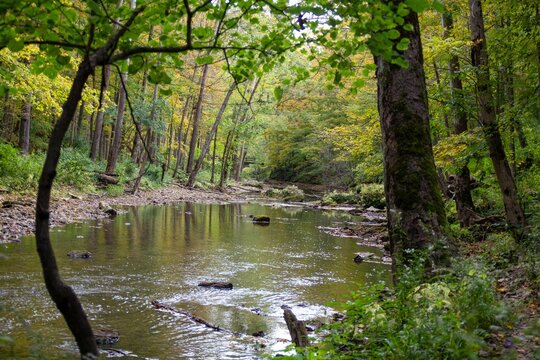 View of the river flowing through a scenic deciduous forest in John Bryan State Park