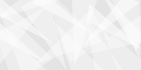 Abstract background with gray background with texture, white abstract modern background. Geometry shine and layer element vector for presentation design. Decorative web layout or poster, banner.design