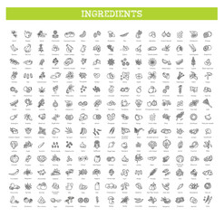Vegetables and fruit vector flat collection - 524089983