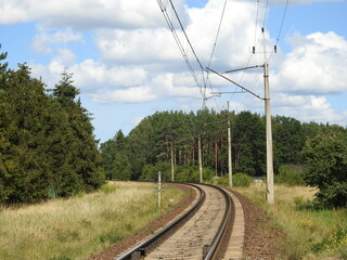 railroad tracks in the pine forest