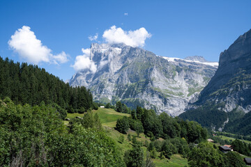 Fototapeta na wymiar Wetterhorn mountain peak in the Swiss Alps near Grindelwald, Switzerland