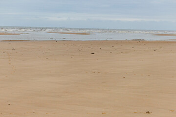 beach and sea