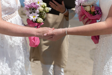 Brides holding hands while expressing their love for each other with officiant during wedding ceremony