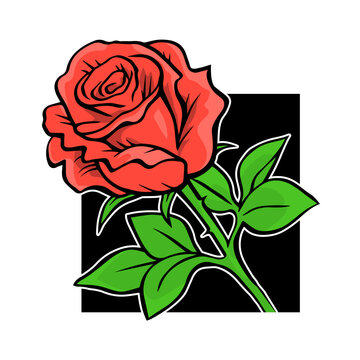 Red rose. Hand drawing with lines. Plants and flowers. Symbol of love and beauty. Decorative logo design, label. Vector cartoon illustration