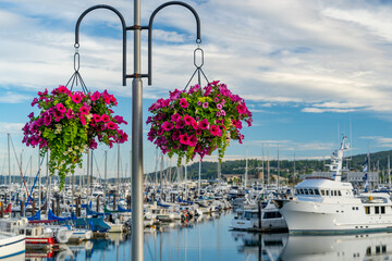 The Gorgeous Sea Port Town of Anacortes Washington