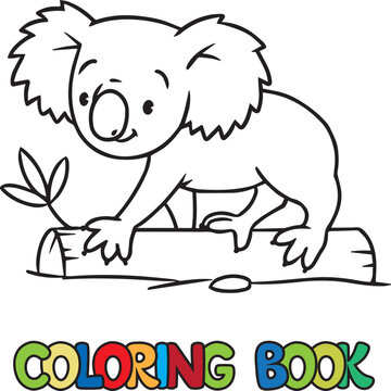 Koala on the log. Kids coloring book