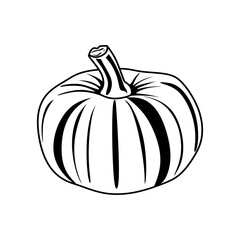 Vector hand drawn pumpkin in black and white. Food sketch illustration for print, web, mobile and infographics isolated on white background.