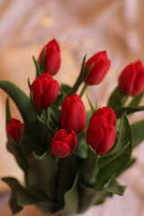 Red tulips bouquet spring