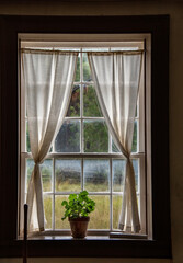 old window with curtains and flower pot on sill