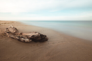 Bois au bord de l'eau