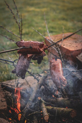Summer days with campfire and barbecue sausages