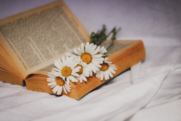Fototapeta na wymiar book and flowers, daisies lying on a book, spring