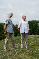 Naklejka na ściany i meble full length of happy senior couple in glasses holding hands and standing on green hill in summer.