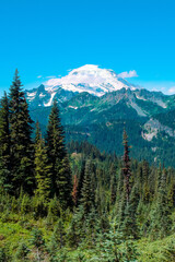 This image of Mount Rainier was taken on the Naches Loop Trail in Washington State. The last morning clouds were just leaving the top of the mountain.
