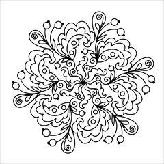 ornament in a circle for coloring, mandala, leaves and berries , antistress, black and white contour illustration hand-drawn, isolated on a white background