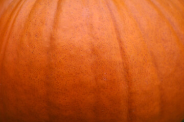 A close-up of pumpkin peel. Meant as autumnal background