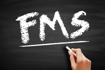 FMS - Fleet Management System acronym, business concept on blackboard