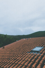 roof of the house