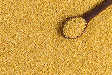 Millet groats background. Top view.