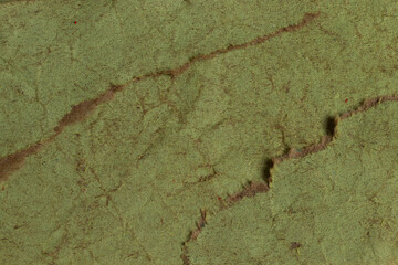 Crumpled torn green paper. Texture background.