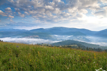 Obraz premium Green meadow on the background of mountains in fog, clouds in the morning sky. Ukraine, Carpathians.