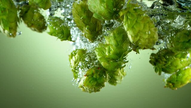 Super slow motion of falling fresh hops cones into water. Isolated on green background. Underwater shot. Filmed on high speed cinema camera, 1000 fps.