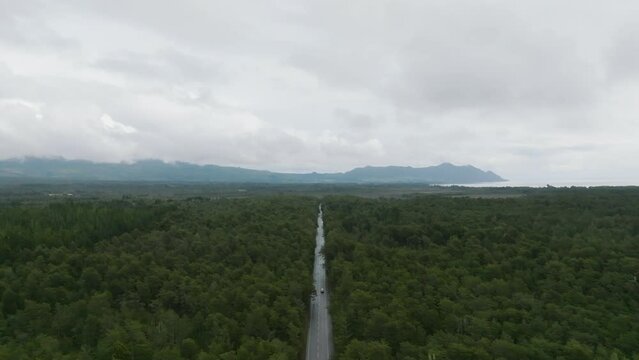 White car passing in forest in petrohue chile