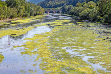 Picture of the almost dry riverbed of the Nahe near the river mouth into the Rhine near Bingen