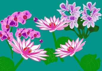 pink and white flower